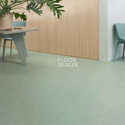 Forbo Marmoleum Decibel on Order 389135 sage фото 2 | FLOORDEALER